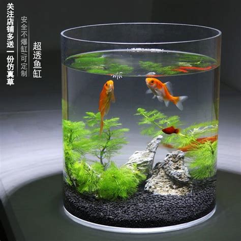 圓形魚缸造景